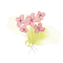 watercolor pink flowers, vector illustration
