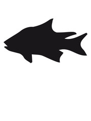 fisch angeln schwimmen meer köder fischen see tauchen aquarium silhouette umriss