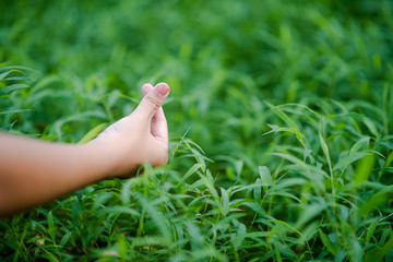 Hands and nature love Bright love Have to give each other Love and beauty in a natural way.