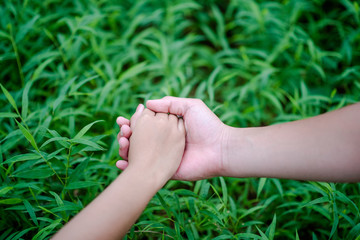 Hands and nature love Bright love Have to give each other Love and beauty in a natural way.