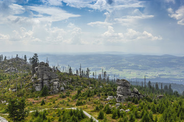 Fototapeta na wymiar View to Dreisessel, Trojmezi and Trojmezna hills with forests destroyed by bark beetle infestation (calamity) in Sumava mountains.
