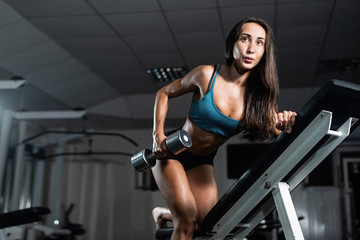 Plakat Woman trains in the gym. Athletic woman trains with dumbbells, pumping his biceps
