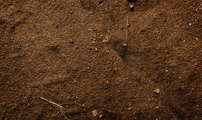 Brown earth. Red soil. Clay soil. Earth texture. Soil texture. Earth background. Earth texture.