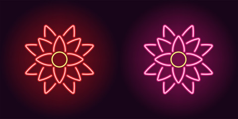 Neon lotus with backlight in red and pink color