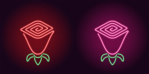 Neon Rose flower in red and pink color