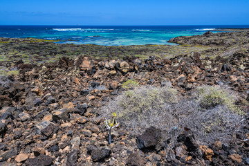 Rocky beach in Caletón Blanco in Lanzarote, Spain