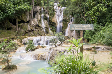 Fototapeta na wymiar The beautiful waterfalls in Kuang Si, near Luang Prabang, Laos, Asia
