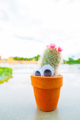 Small cactus with funny googly eyes on the table with soft blurred nature outdoor background