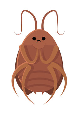 sad metamorphosis cockroach