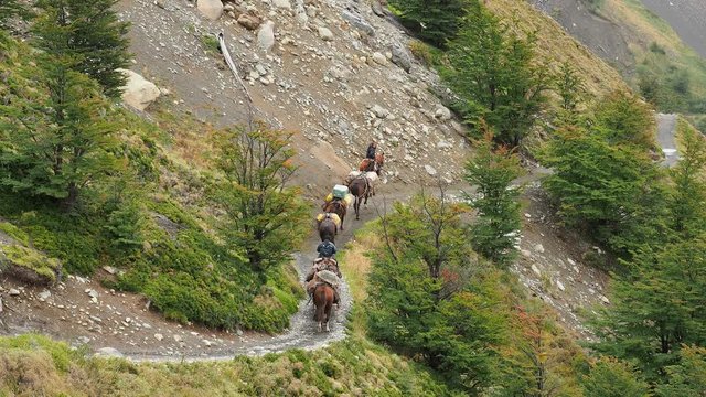 Horse Transport on the trail to Refugio Chileno, Torres del Paine National Park, Patagonia, Chile