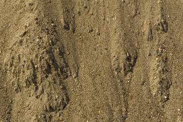 background, texture - yellow river sand with small pebbles