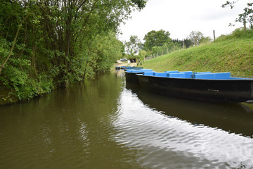 Fototapeta na wymiar Promenade en barque sur les canaux du marais poitevin à Maillezais en Vendée.