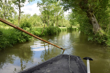 Promenade en barque sur les canaux du marais poitevin à Maillezais en Vendée.