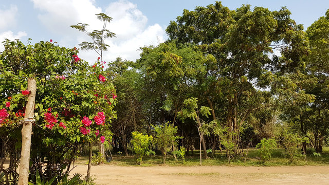 Sri Lanka Lodge Flowergarden