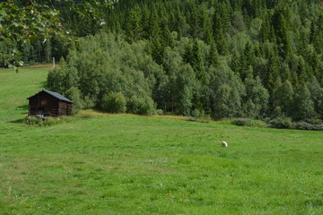 Rauland, Telemark, Norwegen im Sommer