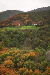 Fototapeta na wymiar Radan mountain near Prolom Banja. Serbia