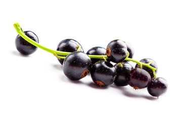 Big ripe bunch of black currant