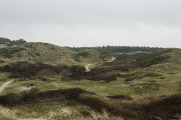 Landschaft Nordsee Texel Holland Niederlande