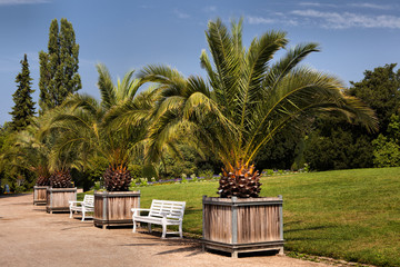 Botanical garden in Berlin, Germany © Radoslaw Maciejewski