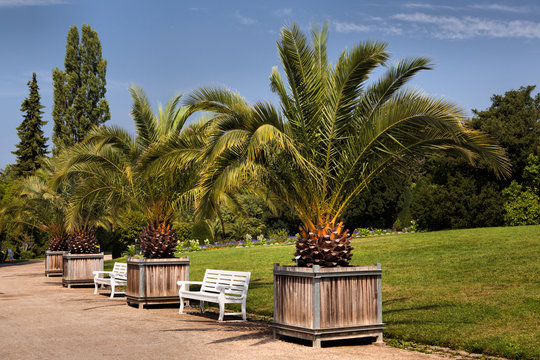 Botanical garden in Berlin, Germany