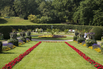 Fototapeta premium Botanical garden in Berlin, Germany