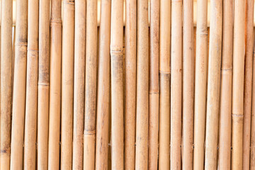 Bamboo fence texture background close up in beautiful summer light