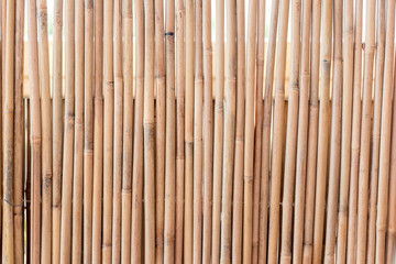 Bamboo fence texture background in beautiful summer light