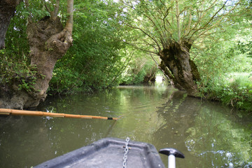 Promenade en barque sur les canaux du marais poitevin à Maillezais en Vendée.