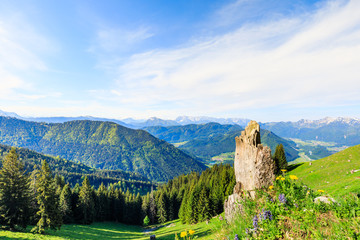 Fototapeta na wymiar tree stub with alpine flowers and beautiful view of bavarian alps