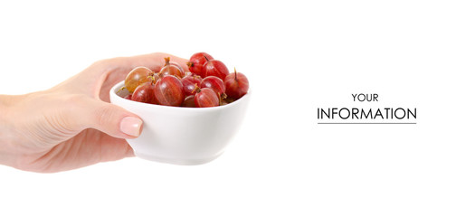 Gooseberries in a bowl in hands pattern on white background isolation