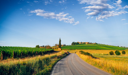 Fototapeta na wymiar Panorama of Farm with road and cypresses in Tuscany, Italy