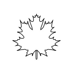 maple leaf. vector icon