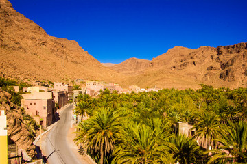 Beautiful landscape of palm oasis close to Tinghir, Morocco in Africa