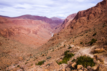 Todgha Gorge is canyon in Atlas Mountains, near Tinghir in Morocco