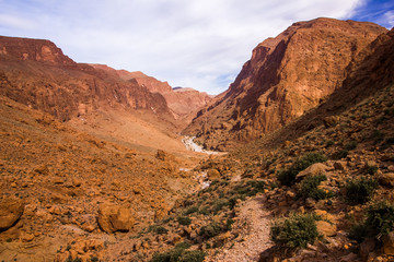 Todgha Gorge is canyon in Atlas Mountains, near Tinghir in Morocco