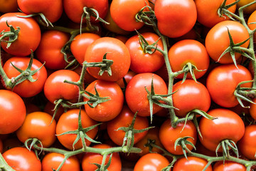 Red tomatoes at open air market. Tomatoes harvest.