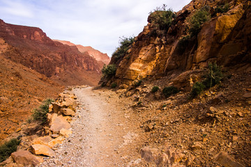 Todgha Gorge is canyon in Atlas Mountains, near Tinghir in Morocco