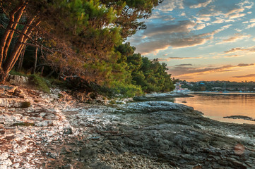 Banjole, Istria, Croatia - Pinian forest at shore of beautiful bay at sunrise.