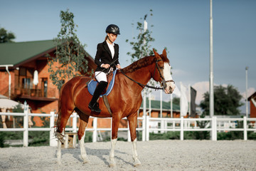 Fototapeta premium Rider elegant woman riding her horse outside
