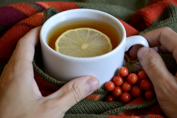 A Cup of hot tea in hand on a wool blanket. Autumn or winter warming drink. Autumn concept