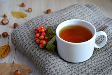 A Cup of hot tea on a wool blanket. Autumn or winter warming drink. Autumn concept