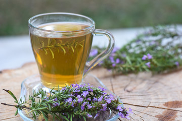 Cup of  fresh natural tea on wooden table.  Thymus serpyllum natural tea, Breckland Thyme  with cup...