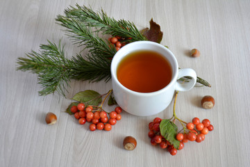 Obraz na płótnie Canvas A Cup of hot tea, berry, fir branch on the table. Autumn or winter warming drink. Autumn concept