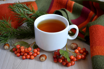 A Cup of hot tea, berry, fir branch, wool blanket on the table. Autumn or winter warming drink. Autumn concept
