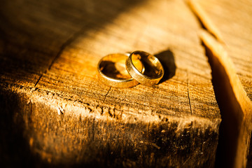 Golden wedding rings.