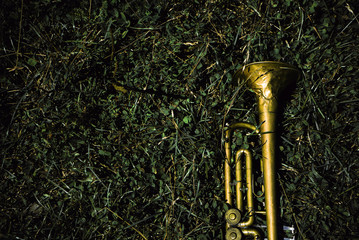 Old trumpet placed on green grass