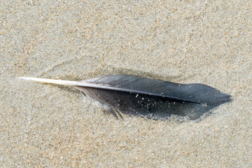 Am Strand in Holland