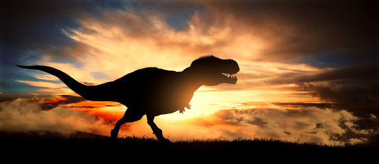 Silhouette of a tyrannosaurus rex at sunset © ginettigino