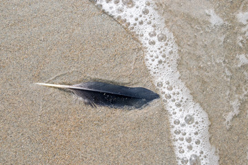Am Strand in Holland