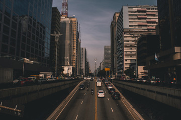 Paulista 
